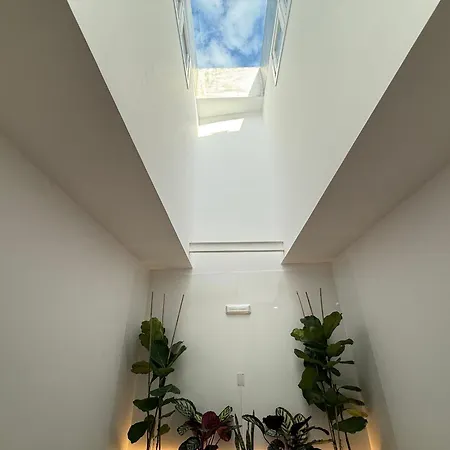 Plaza Lofts L5 By Urent * Padron