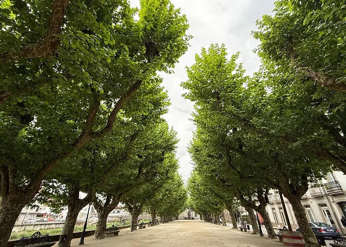 Plaza Loft L5 By Urent